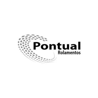 Pontual Pecas e Rolamentos